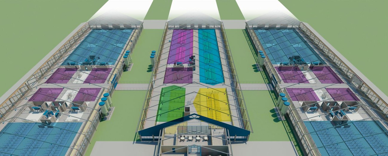Group-based Herd Management