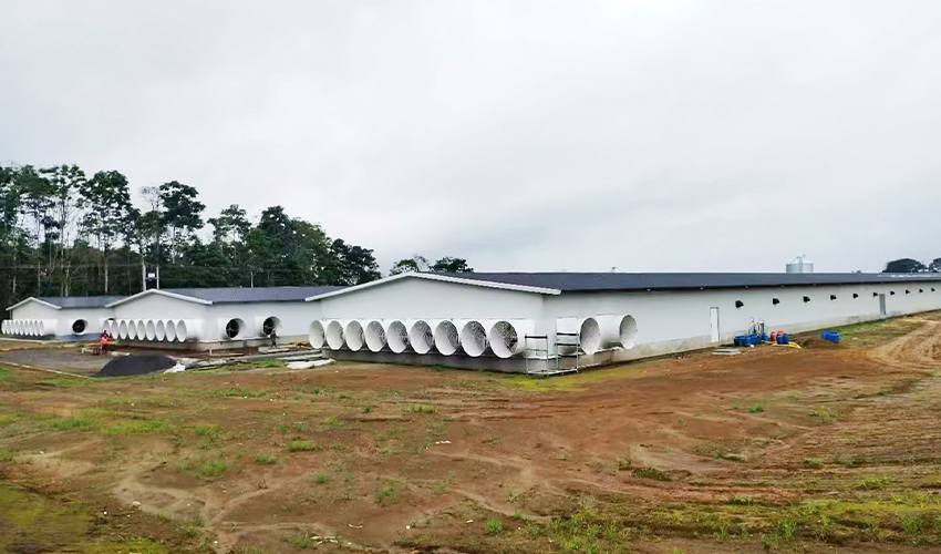 Ecuador Broiler Project