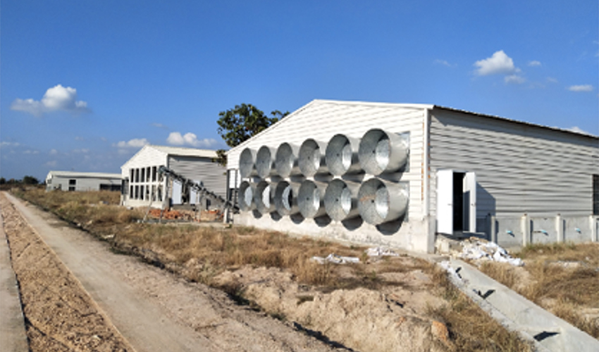 Myanmar Chicken Farming Project 