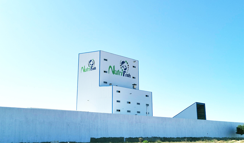 Tunisia Feed Mill Project