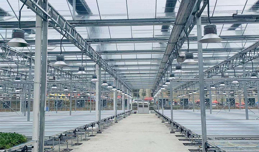 Guizhou Seedling Greenhouse Engineering