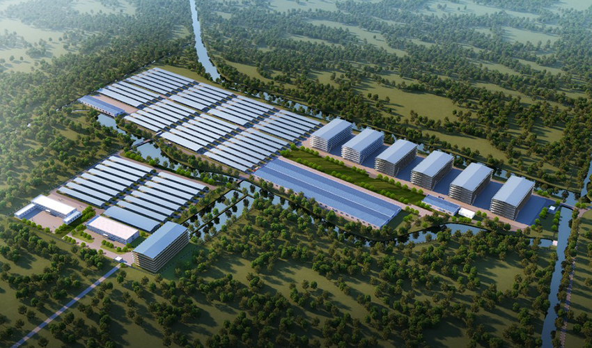 Anhui Meat Sheep Breeding Base Project