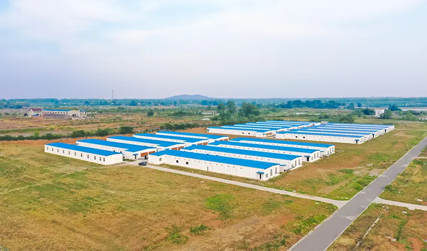 Modernized Poultry Parks: Integrated Planning & Engineering