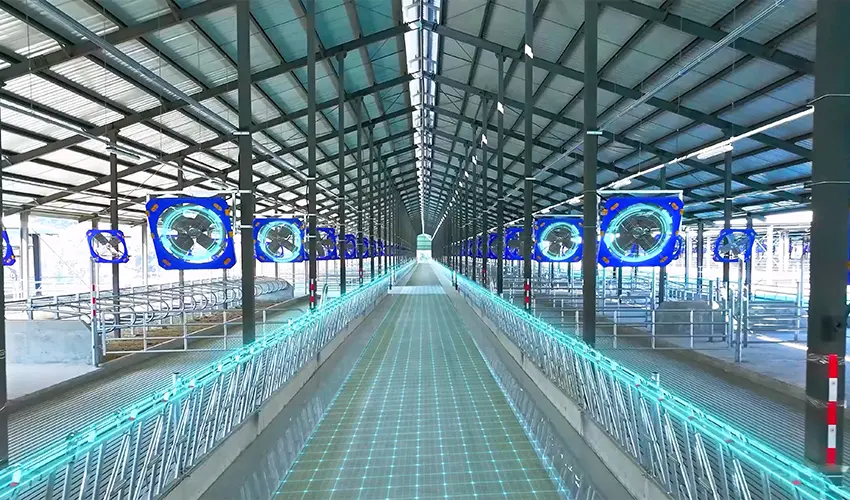 China’s Turnkey EPC Solutions for Pig, Cattle & Sheep Farms