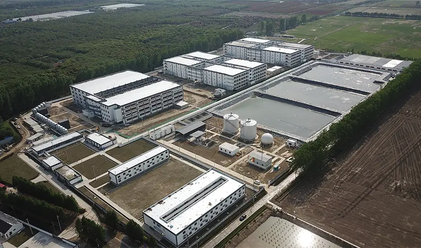 Pig Farm Engineering: Optimizing Sow, Nursery, and Fattening Barn Design