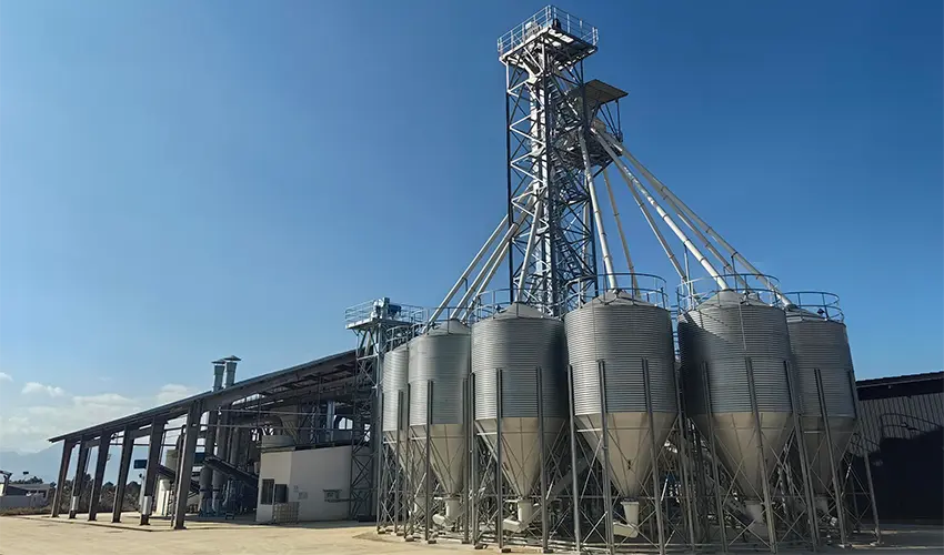 Livestock Farm Solutions: Africa’s Sustainable Growth