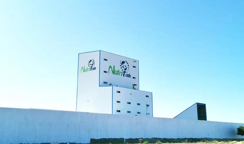 Boost Feed Mill Profitability: Low-Consumption Grinding & Efficient Mixing