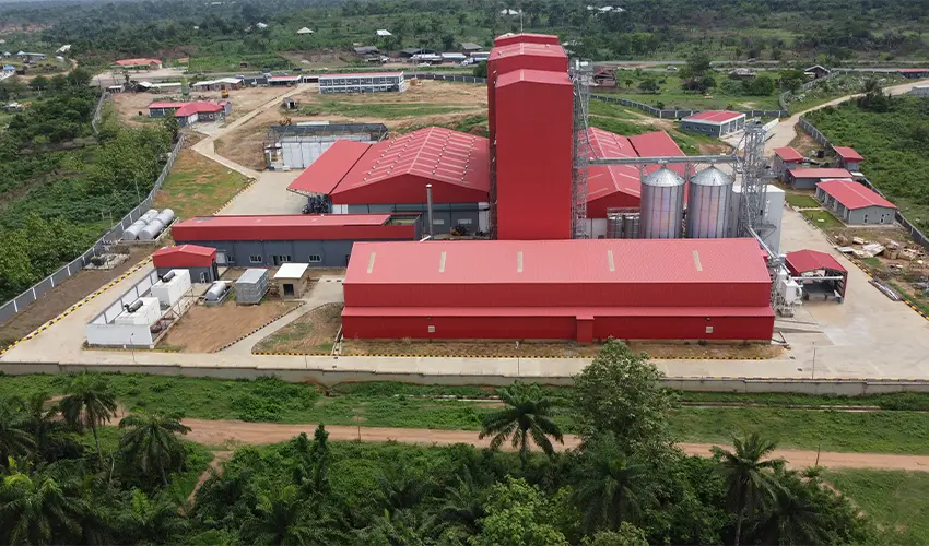 Aquatic Feed Engineering: Advanced Pet Food Plant Solutions