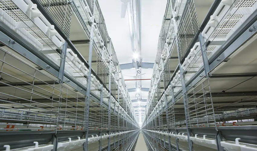 Intelligent Processing Engineering for Poultry Slaughter Optimization