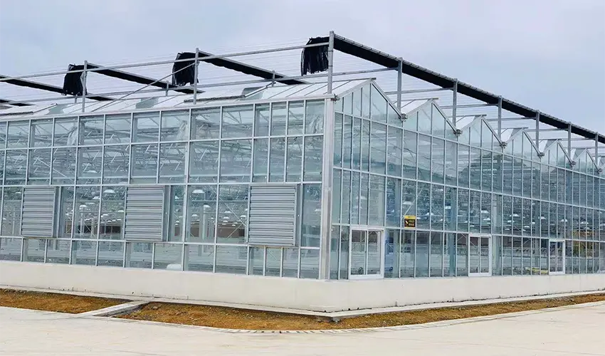 Greenhouse EPC from China: Integrated Solutions for Modern Agriculture