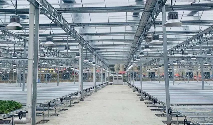 Greenhouse Solutions for Central Asia’s Cold-Climate Markets