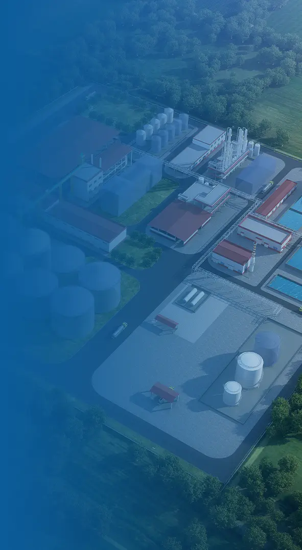 Grain Deep Processing Solution